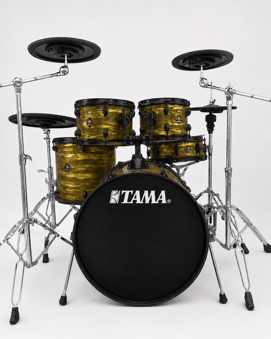 Gold Oyster - black hardware